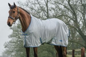 best-fly-sheet-for-horses