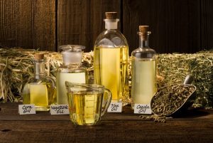 Best Oil to Feed Horses for Weight Gain