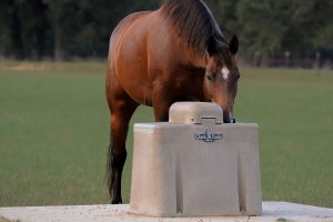 best automatic waterer for horses