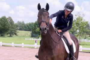 best-calming-paste-horses