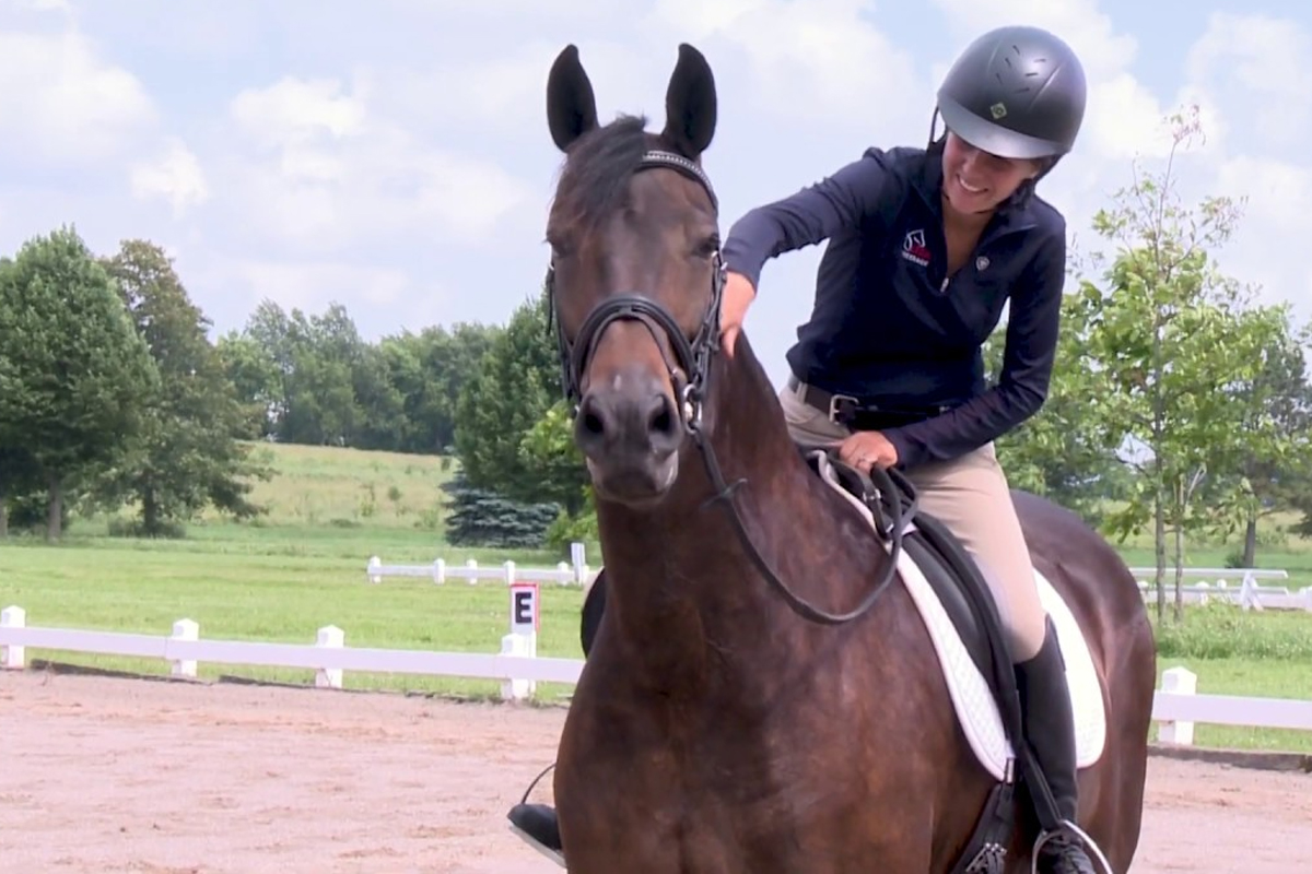 best-calming-paste-horses