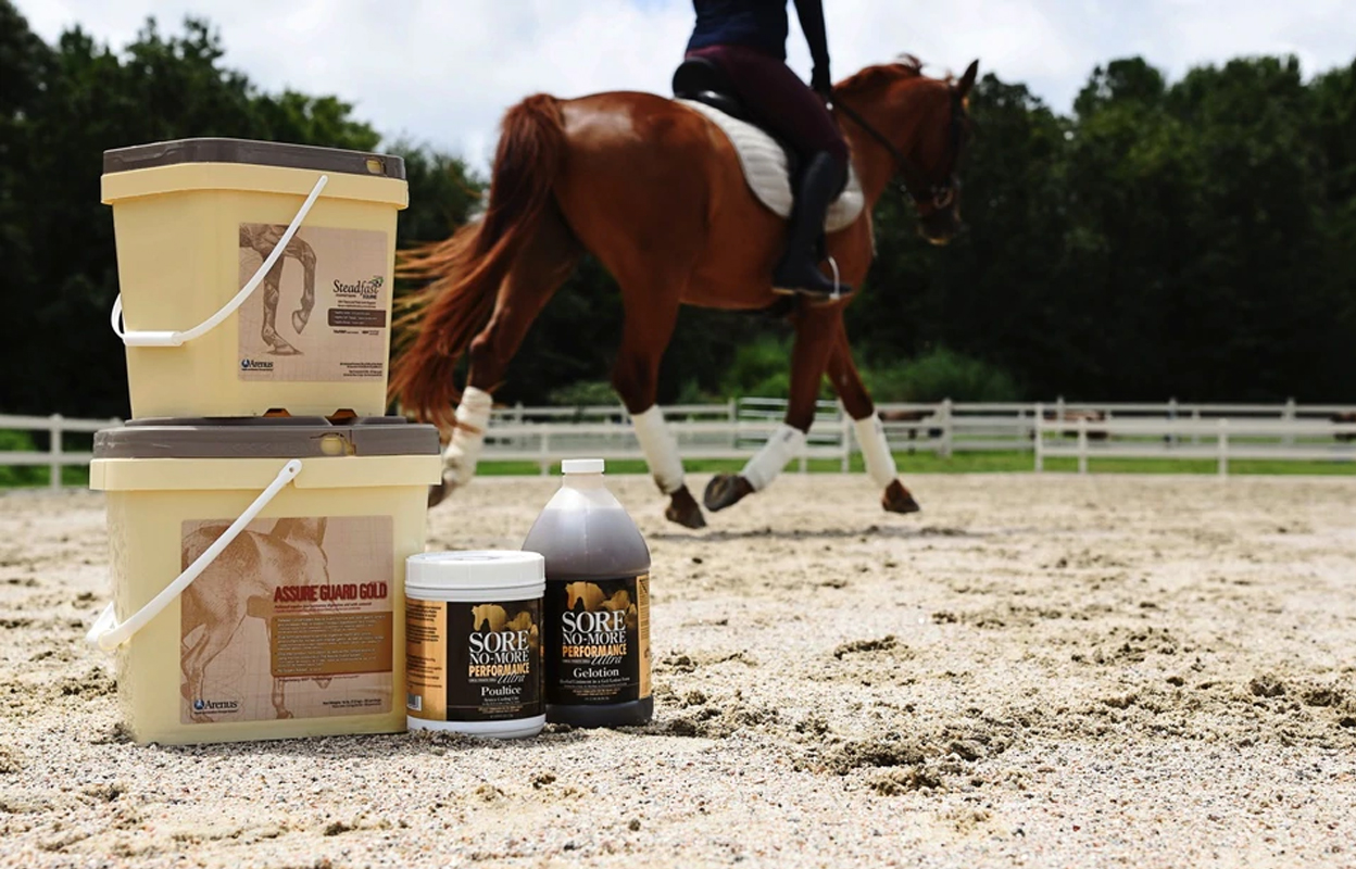 best-horse-vitamin-mineral-supplement