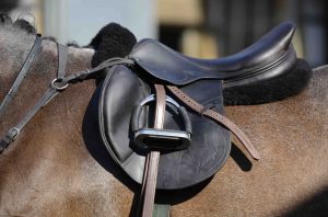 Best saddle Pads for Horses