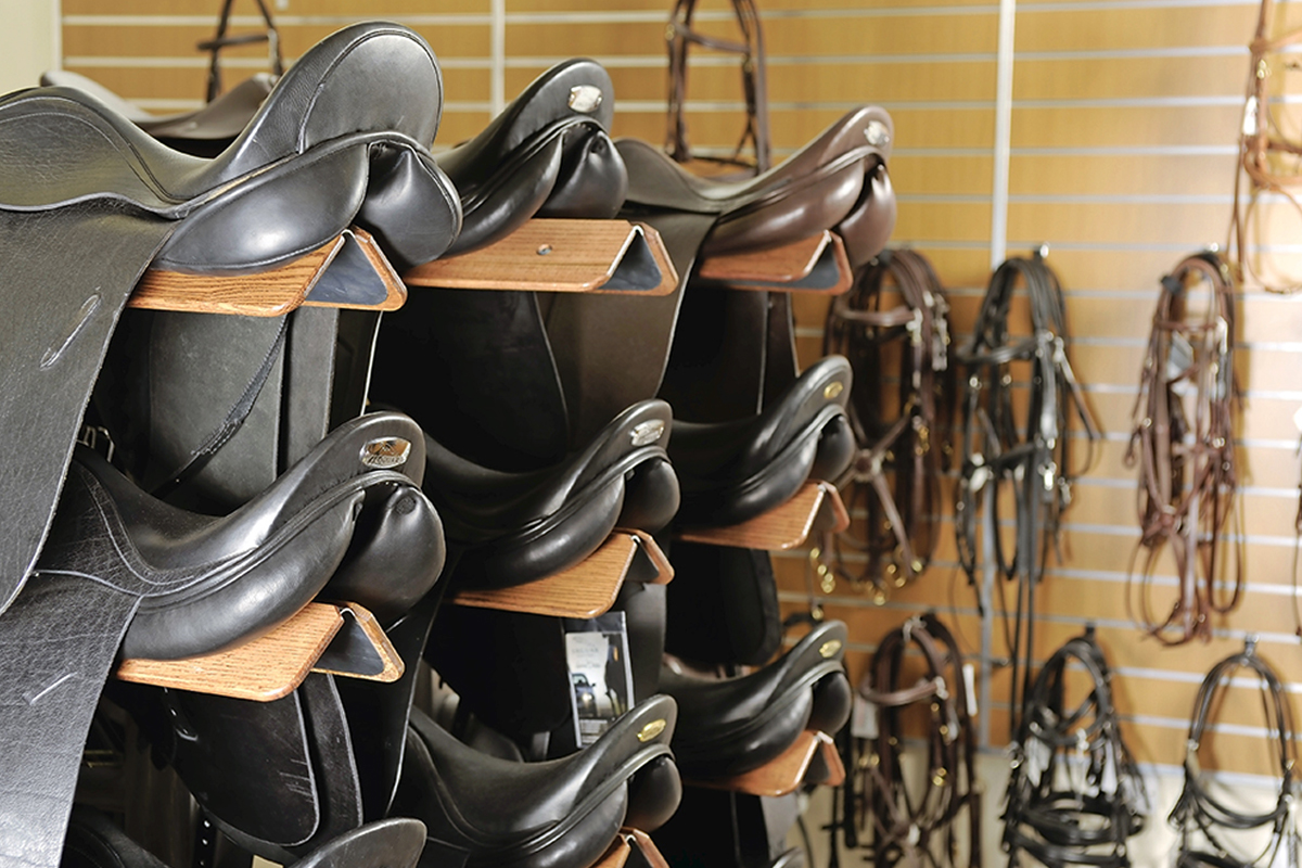 best-saddle-wide-flat-backed-horse