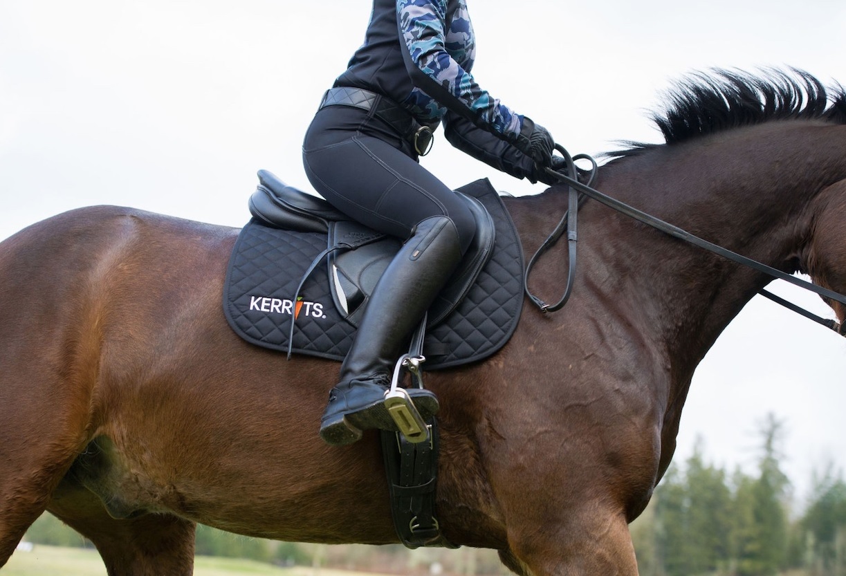Best Horse Riding Pants