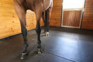 Best Flooring for Horse Stalls