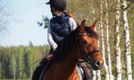 Best Horse Riding Helmet