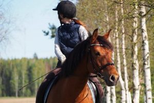 Best Horse Riding Helmet