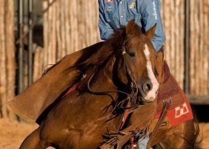 Best Horse Feed For Performance Horses