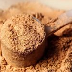 Best Probiotics for Horses