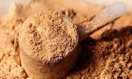 Best Probiotics for Horses