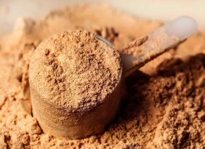 Best Probiotics for Horses