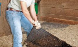 Best Stall mats for Horses