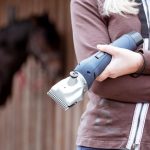 Best Cordless Horse Clippers