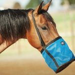 Best Feed Bag for Horses